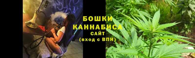 Бошки марихуана LSD WEED  закладки  Алейск 